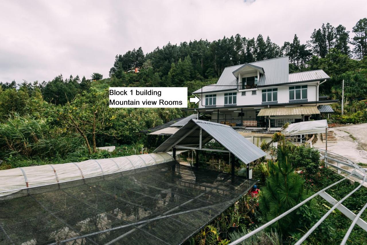 Amazing Grace Lodge Kampong Kundassan المظهر الخارجي الصورة