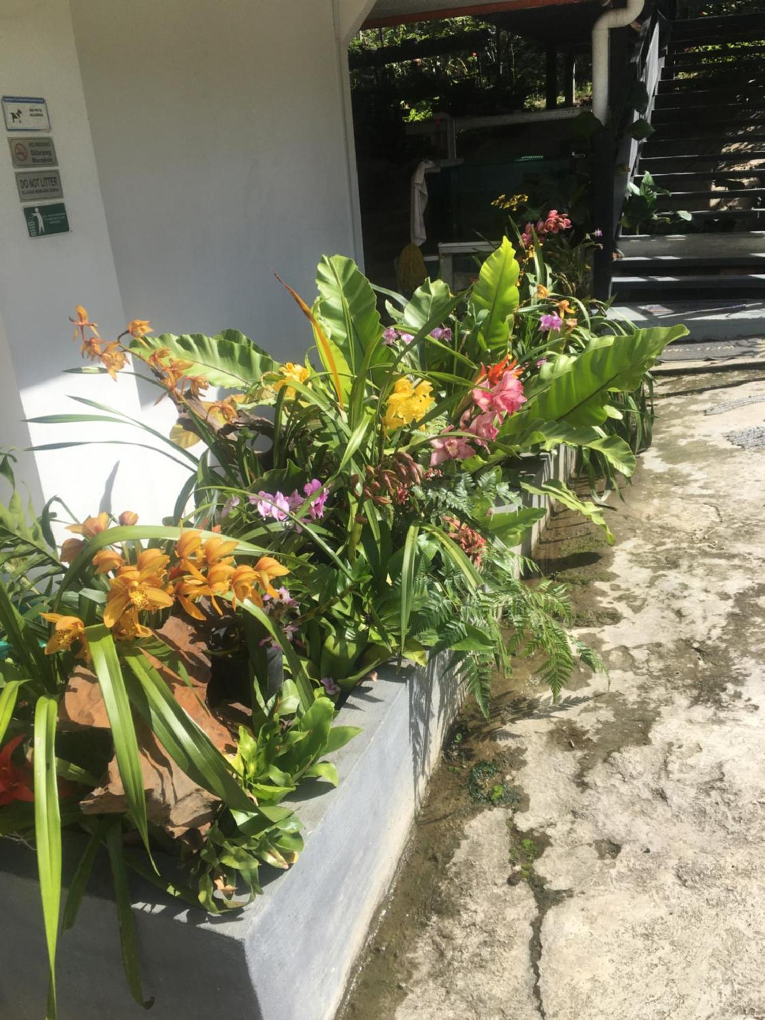 Amazing Grace Lodge Kampong Kundassan المظهر الخارجي الصورة